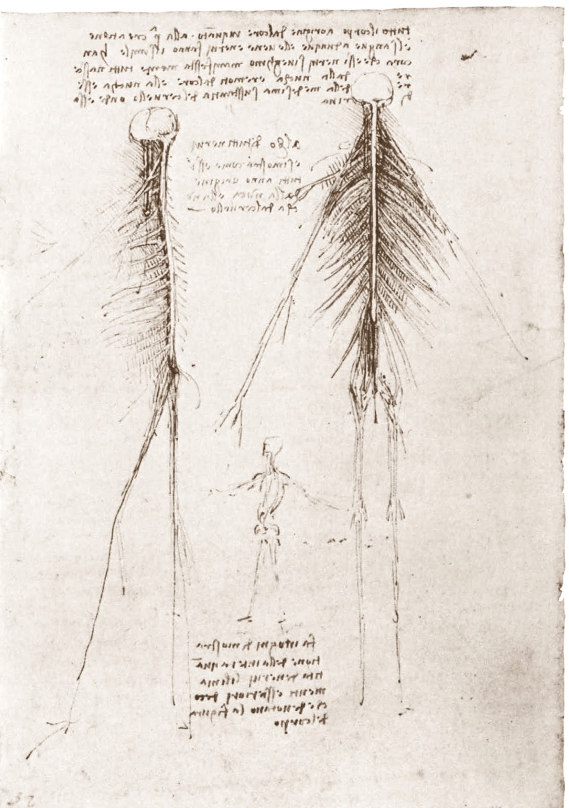 Leonardo+da+Vinci-1452-1519 (786).jpg